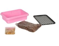 Glipet Saksılı Organik Kedi Çimi