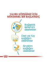 Royal Canin Yorkshire Terrier Puppy Yavru Köpek Maması 1,5 Kg