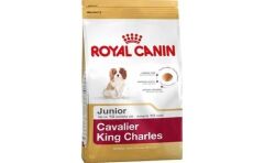 Royal Canin Cavalier King Charles Puppy Yavru Köpek Maması 1,5 Kg