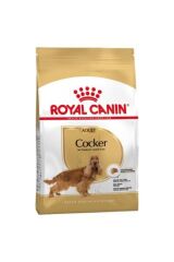 Royal Canin Cocker Yetişkin Köpek Maması 3 Kg