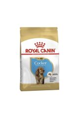 Royal Canin Cocker Puppy Yavru Köpek Maması 3 Kg