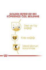 Royal Canin Golden Retriever Yetişkin Köpek Maması 12 Kg