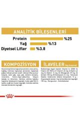 Royal Canin Golden Retriever Yetişkin Köpek Maması 12 Kg