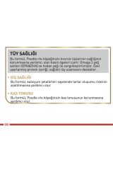 Royal Canin Poodle Adult Caniche Barboncino Yetişkin Köpek Maması 3 KG