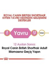 Royal Canin British Shorthair Kitten Yavru Kedi Maması 2 Kg