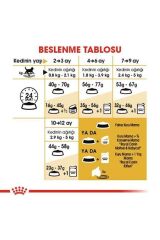Royal Canin British Shorthair Kitten Yavru Kedi Maması 2 Kg