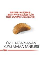 Royal Canin British Shorthair Kitten Yavru Kedi Maması 2 Kg