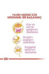 Royal Canin British Shorthair Kitten Yavru Kedi Maması 2 Kg