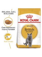 Royal Canin British Shorthair Yetişkin Kedi Maması 2 Kg