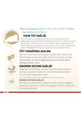 Royal Canin Persian Kuru Kedi Maması 2 Kg