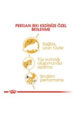 Royal Canin Persian Yetişkin  Kedi Maması 4 Kg