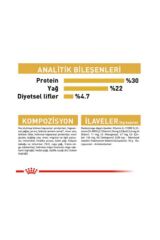 Royal Canin Persian Yetişkin  Kedi Maması 4 Kg