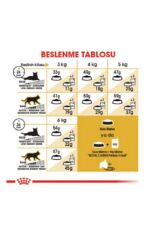 Royal Canin Persian Yetişkin  Kedi Maması 4 Kg