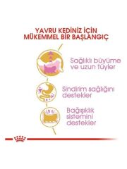 Royal Canin Persian Kitten Yavru Kedi Maması 2 Kg