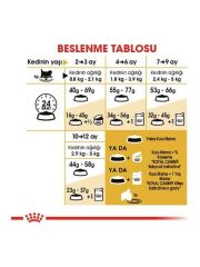 Royal Canin Persian Kitten Yavru Kedi Maması 2 Kg