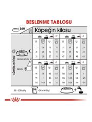 Royal Canin Mini Exigent 3 Kg Köpek Maması