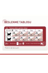 Royal Canin Fit 32 Yetişkin Kedi Maması 4 KG