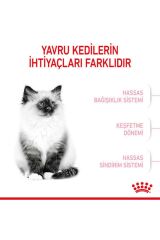 Royal Canin Kitten Yavru Kedi Maması 2 Kg