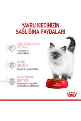 Royal Canin Kitten Yavru Kedi Maması 2 Kg