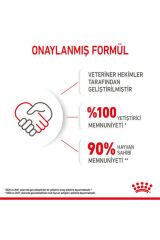 Royal Canin Kitten Yavru Kedi Maması 4 Kg
