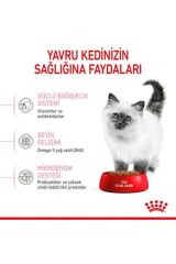 Royal Canin Kitten Yavru Kedi Maması 4 Kg