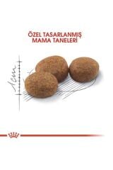 Royal Canin Sterilised Kısır Kedi Maması 2 Kg