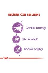 Royal Canin Regular Sterilised Yetişkin Kısırlaştırılmış Kedi Maması 7+ 3.5 Kg