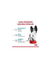Royal Canin XSmall Puppy Yavru Köpek Maması 3 KG