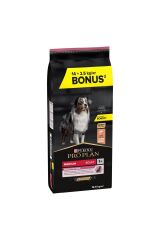Pro Plan Medium Somonlu Yetişkin Köpek Maması 14+2,5 KG