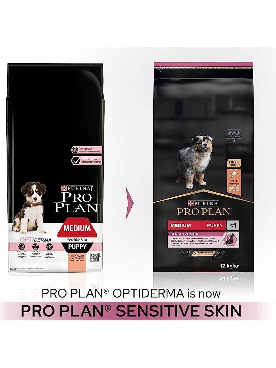 Pro Plan Medium Puppy Somonlu Yavru Köpek Maması 12 KG