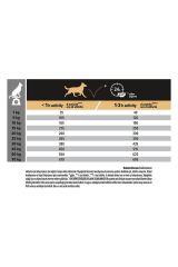 Pro Plan Medium Adult Somonlu Yetişkin Köpek Maması 3 KG