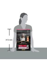 Pro Plan Medium Adult Somonlu Yetişkin Köpek Maması 3 KG