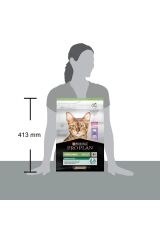 Pro Plan Sterilised Hindili Kısırlaştırılmış Kedi Maması 3 Kg