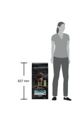 Pro Plan Büyük Irk Large Kuzu Etli Köpek Maması 14 Kg
