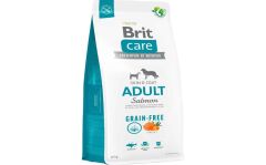 Brit Care Skin-Coat Tüm Irklar için Somonlu Tahılsız Yetişkin Köpek Maması 12kg