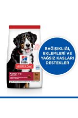Hills Adult Large Kuzulu Ve Pirinçli Yetişkin Köpek Maması 14 KG(620-604373)
