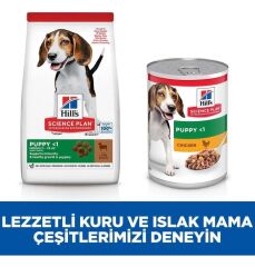 Hill's Medium Puppy Lamb Kuzu Etli Orta Irk Yavru Köpek Maması 2,5 Kg