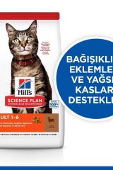 Hill's Kuzu Etli Yetişkin Kedi Maması 3 KG