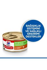 Hill's SCIENCE PLAN Tavuklu ve Hindili Yavru ve Anne Kediler için Yumuşak Püre Konserve 85gr