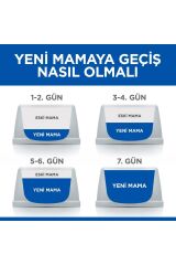 Hill's SCIENCE PLAN Somonlu Kısırlaştırılmış Yetişkin Kedi Maması 8+2 kg