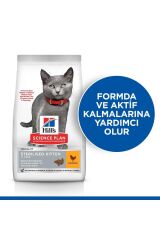 Hill's Sterilised Kitten Tavuklu Kısırlaştırılmış Yavru Kedi Maması 3 Kg