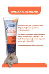 Dr.Clauders Taurinli Anti Hairball Malt Kedi Macunu 100 Gram