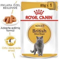 Royal Canin British Shorthair Pouch 85 Gr