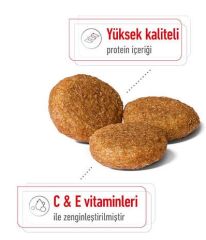 Royal Canin Medium Adult Köpek Maması 15 Kg