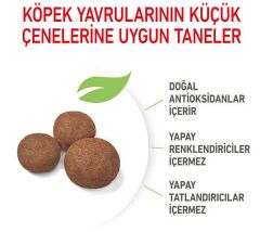Royal Canin Medium Puppy Yavru Köpek Maması 15 Kg