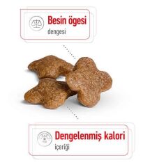 Royal Canin Mini Adult Yetişkin Köpek Maması 2 Kg