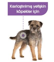 Royal Canin Sterilised Dog Pouch 85 Gr