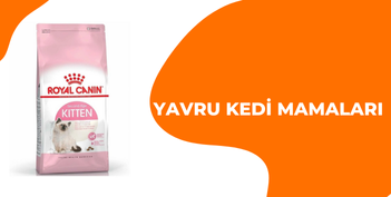 Yavru kedi Mamaları
