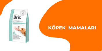 Köpek Mamaları
