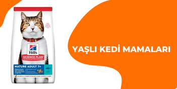 Yaşlı Kedi Mamaları